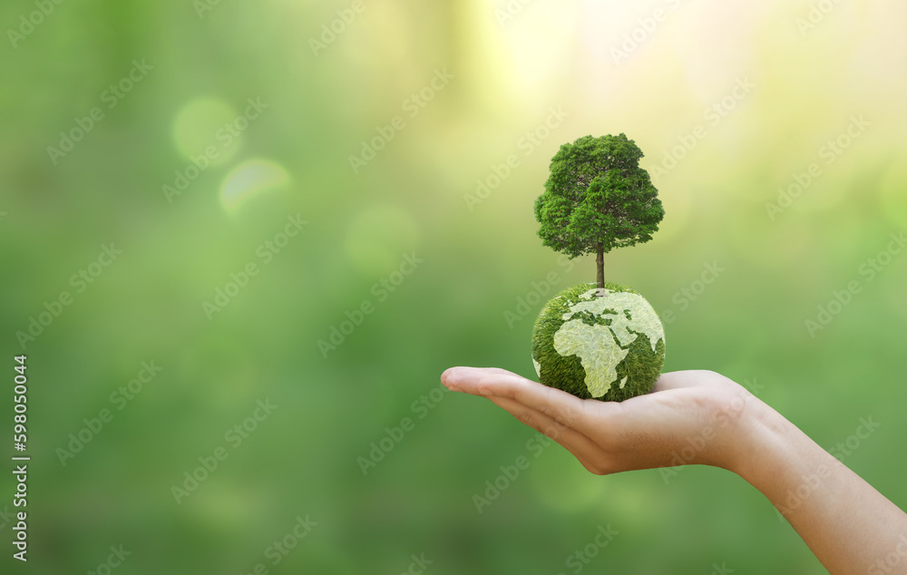 Illustration Stock Hand of human holding green earth with tree for ESG ...