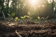 © AIGen - Growing Your Finances: Money Growing on Trees as a Successful Investment Strategy: Generative AI