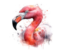 Flamingo Portrait Watercolor
