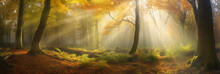 Rays Of Sunlight In A Misty Autumn Forest. Colorful Landscape With Foggy Forest, Gold SunRays Of Sunlight In A Misty Forest In Autumn, A Panorama With Magical Atmosphere And Warm Colors. Ai Generative
