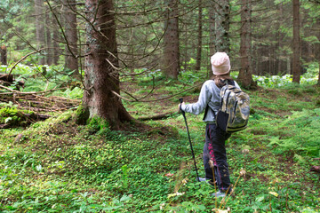 person in the woods