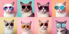 Generative AI. Set Of Photos Generated By Artificial Intelligence. Fashionable Stylish White And Gray Cat In Glasses With Round Frame On Multicolored Pink, Blue, Yellow Background. Pet Care Concept