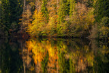 Fototapeta Las - Autumn view of the lake