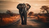 Fototapeta Perspektywa 3d - Majestätischer Elefant