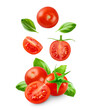 Cherry tomatoes with basil leaves isolated on transparent background