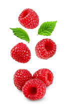 Levitation Raspberries With Leaves Isolated On Transparent Background