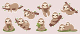Fototapeta Fototapety na ścianę do pokoju dziecięcego - Cute sloth stickers set. Collection of graphic elements for website. Charming lazy animal on branch. Forest tropical mammal with tree. Cartoon flat vector illustrations isolated on white background