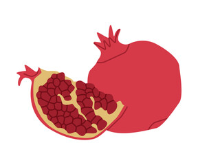 Canvas Print - Red Pomegranate Fruit with Seeds as Traditional Istanbul Symbol Vector Illustration