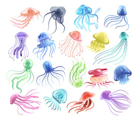 Sticker - Colorful Jellyfish with Umbrella-shaped Bell and Trailing Tentacles Vector Set