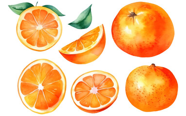 set vector watercolor illustration of ripe orange isolated on white background Generative AI