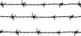 Fototapeta  - barbed wire isolated on white