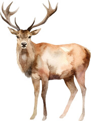 Aufkleber - Deer illustrations created with Generative AI technology