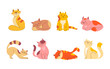 Cute smile cats doodle set. Cartoon design collection of cat breeds in different poses. Funny kittens