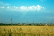 © oybekostanov - Cumulus clouds over a grain field