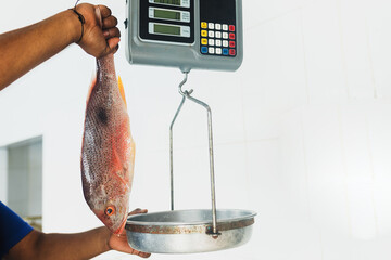 mexican hand of seller weighing fish on market in Mexico Latin America