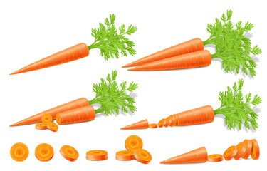 Wall Mural - bright vector set of colorful halves, slices and whole carrots with green stems. fresh vegetable iso