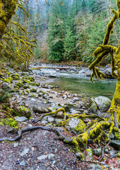 Wall Mural - Snoqualmie River Near Twin Falls 9