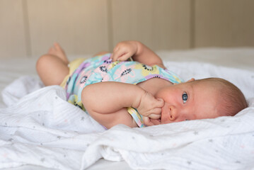 Wall Mural - A content and aware baby girl of 4 months old looking around at her environment