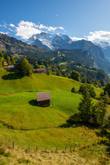 Wall Mural - Grindelwald, Jungfrau, Switzerland