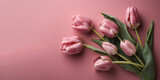 Fototapeta Tulipany - Delicate pink tulips arranged in a flat lay against a soft pink background