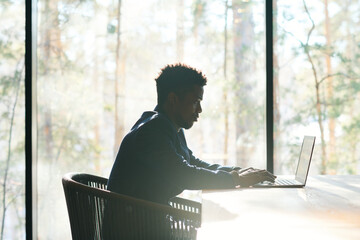 Poster - Sunlit outline of young serious businessman looking at laptop screen and typing while sitting by workplace against large office window