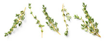 Mediterranean Cuisine: Set / Collection Of Fresh Thyme Twigs In Different Positions Over A Transparent Background, Isolated Herbs With Subtle Natural Shadows, Top View / Flat Lay