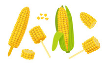 Set Of Sweet Golden Corn. Corn On The Cob, Grains, Cob On The Holder, Corn On A Stick, Corn Slice, Maize. Summer Food Vector Illustration