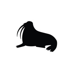 Silhouette of big walrus with tusks, black outline vector illustration isolated.