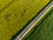 Vue aérienne sur des champs de colza séparés par un chemin. Agriculture et environnement