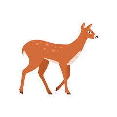 Female deer walking, cartoon flat vector illustration isolated on white background.