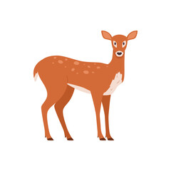 Cute female deer standing, cartoon flat vector illustration isolated on white background.