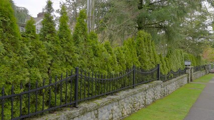 Wall Mural - Establishing shot of green fence in Vancouver, Canada, North America. Outdoor landscape in Spring. Security and privacy concept. Day April 2023. Still camera view. ProRes 422 HQ.