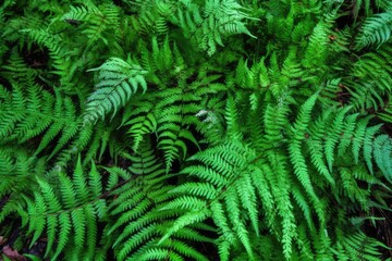  lush green plants in close-up view. Generative AI