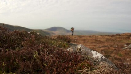 Canvas Print - Abstract shallow focus shot of a backpacker leaving a campsite