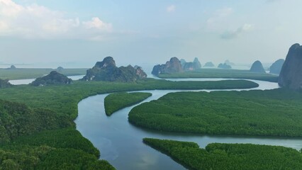 Wall Mural - Amazing abundant mangrove forest river,Aerial view of forest trees Rainforest ecosystem and healthy environment background, Texture of green trees forest top down High angle view