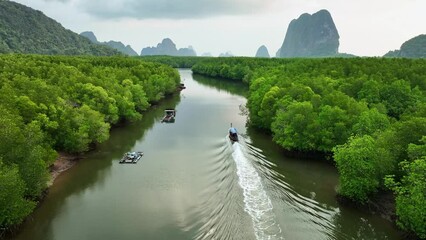 Amazing abundant mangrove forest river,Aerial view of forest trees Rainforest ecosystem and healthy environment background, Texture of green trees forest top down High angle view