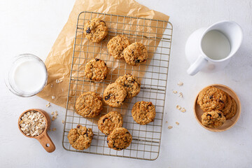 Healthy breakfast cookies with oatmeal, pecans and cranberry