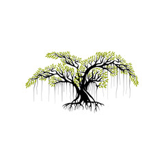 tree vector illustration. roots of banyan tree. mangrove plant