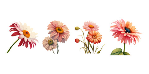 Wall Mural - Collection of drawn watercolor flowers