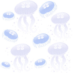 Wall Mural - Seamless pattern with blue jellyfish vector illustration on white background