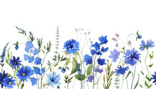 Watercolor Blue Wildflowers Seamless Border, Botanical Liiustration