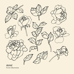 Wall Mural - Hand draw vector tea rose flowers illustration. Floral wreath. Botanical floral card on white background.