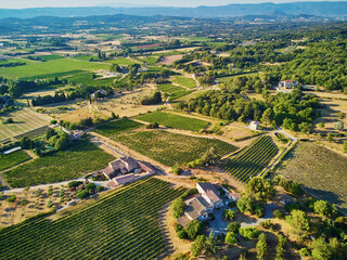 Poster - Aerial Mediterranean landscape with cypresses, olive trees and vineyards in Provence, Southern France