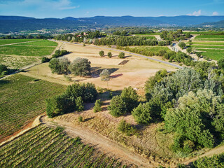 Poster - Aerial scenic Mediterranean landscape with cypresses, olive trees and vineyards in Provence, France