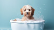 canvas print picture - Cute puddle puppy dog in a small bathtub with soap foam and bubbles. Generative AI