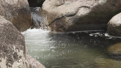 Wall Mural - flowing water waterfall in tropical forest