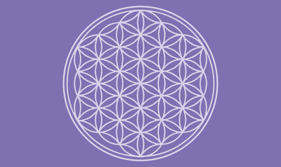 Wall Mural - flower of life background vector spiritual symbol purple