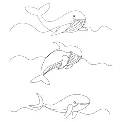 Wall Mural - whale drawing in one continuous line isolated vector