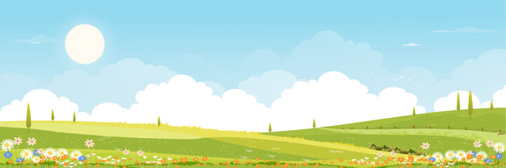 Spring green fields landscape with mountain, blue sky and clouds background,Panorama peaceful rural nature in springtime with green grass land. Cartoon vector illustration for spring and summer banner