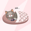 illustration of cat sleeping in the slipper